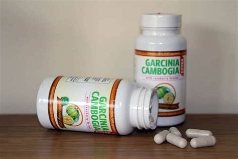 Garcinia Cambogia Extra Before And After Results Beforeafter