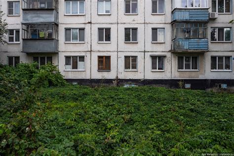 Белгород – один из лучших городов России! — Teletype