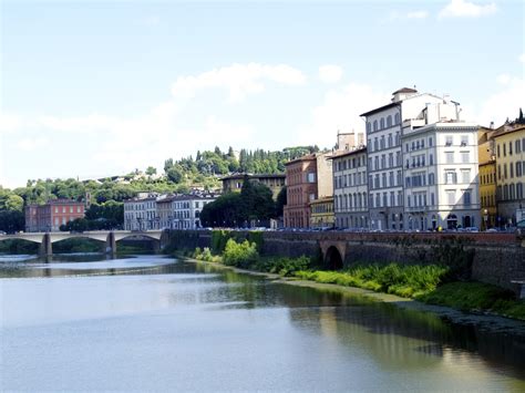 Florence of Italy - Friendly NettleFriendly Nettle