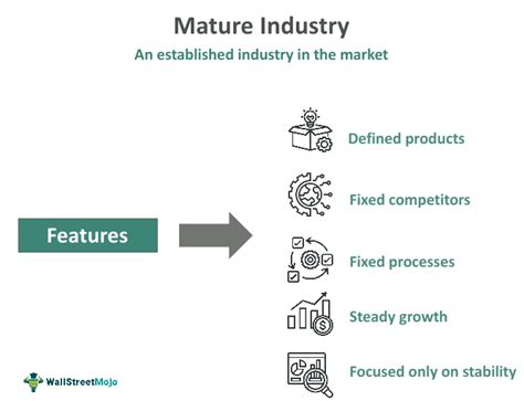 Mature Industry What Is It Explained Examples Characteristics