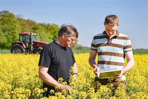 Zg Raiffeisen Agrar Niederlassung Und Getreidesilo Salem Raiffeisen