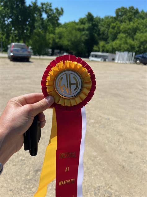 Enzos First Dressage Show Sodar Farms Haflingers