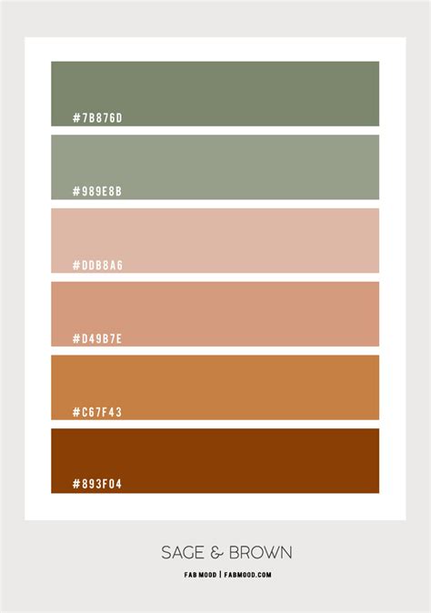 Brown And Sage Colour Combo Colour Palette Color Schemes Colour