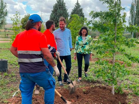 Torrej N De Ardoz Planta Nuevos Rboles En El Parque Miradores De