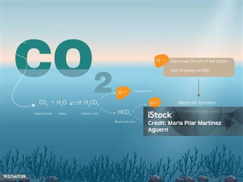 Vetores De Processo De Acidificação Dos Oceanosequação Química E