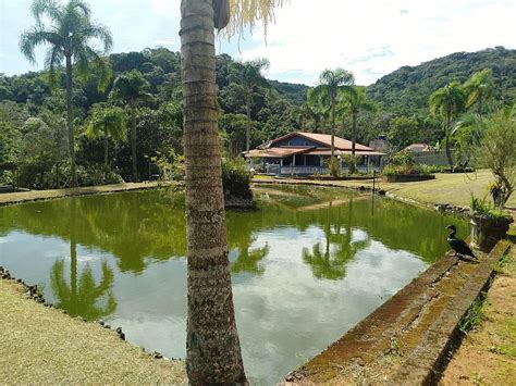 Fazenda S Tio Na Rodovia Bunjiro Nakao Ibiuna Em Ibi Na Por R