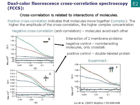 Fluorescence Microscopy Iii Fluorescence Correlation Spectroscopy Fcs Detection