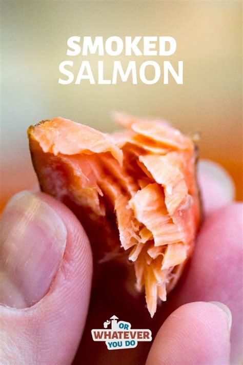 Traeger Smoked Salmon Hot Smoked Salmon Recipe On The Pellet Grill