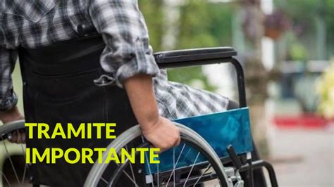 Tramite Importante Para Acceder A La Pensi N Por Invalidez De Anses