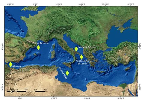 Recent Cold-Water Coral Provinces of the Mediterranean Sea. | Download ...