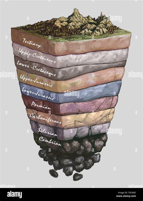 Geologic Time Scale Rock Layers