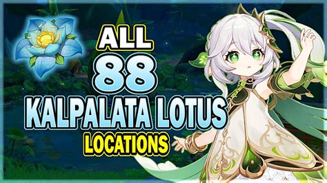 All Kalpalata Lotus Locations Efficient Farming Route Nahida