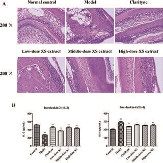 Compound Target Disease Network The Node Size Represents The Value Of