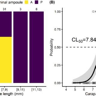 Relationship Between Carapace Length CL And Absence A Presence P