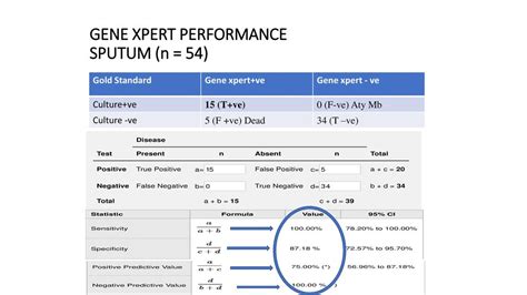 Genexpert Mtbrif Assayn117 Ppt Download