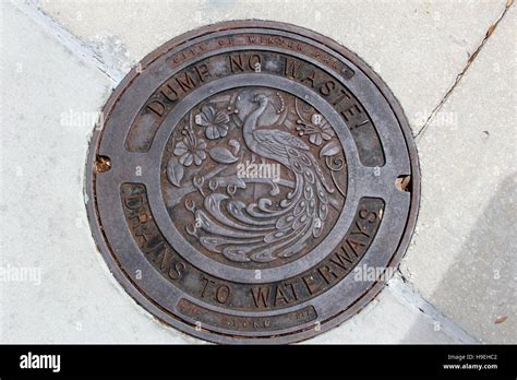 Sewer cover art in Winter Park Florida Stock Photo - Alamy