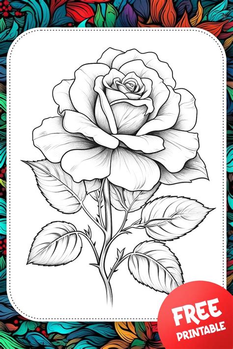 Rose Flower Detailed Free Coloring Page For Adults Printable PDF