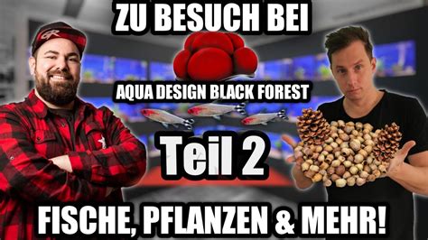 Fische Biotop Aquaristik Mehr Bei Aquadesignblackforest Youtube