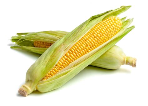 premium photo corn   leaves