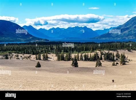 Yukon Canada Stock Photo Alamy