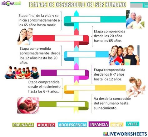 Ficha De Etapas Del Desarrollo Humano Para SEGUNDO PRIMARIA Etapas