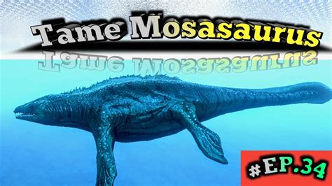 Tame Mosasaurs Ark Survival Evolved Mobile Ep34 Youtube