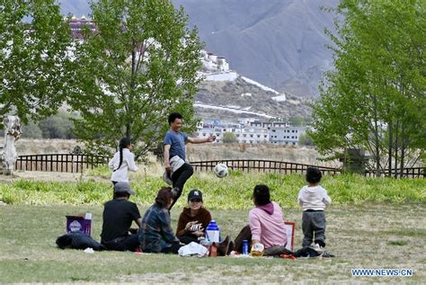 Summer views of Lhalu wetland in Lhasa TIANSHANNET 天山网