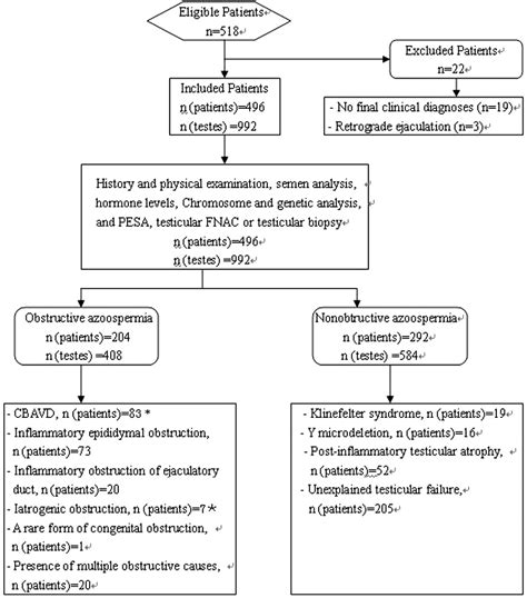 Figure 1 From The Value Of Sonoelastography Scores And The Strain Ratio