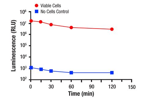 Firefly Luciferase ATP Assay Kit Cell Signaling Technology