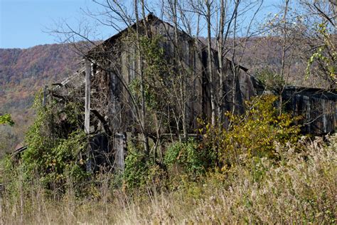 Free Images Tree Rock Wilderness Mountain Trail Adventure Cliff