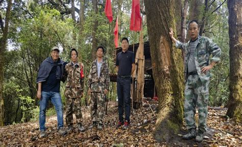 铸牢高黎贡山生物生态安全 ——怒江州林草局持续开展高黎贡山防灾减灾巡林工作 关注森林