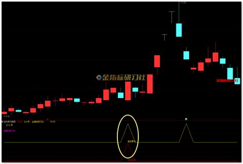 通达信短线追击黑马买点信号【副图选股】指标公式，副图和选股指标套装 金指标研习社