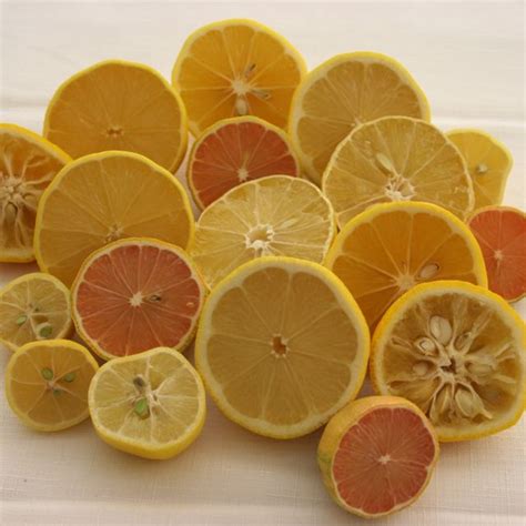 Some Natural Home Remedies For Cough | HubPages