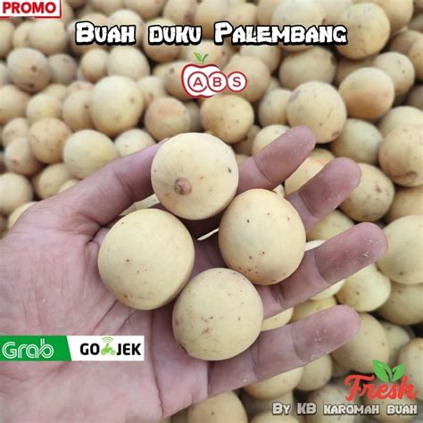 Jual Buah Duku Palembang Kompreng Kg Buah Duku Jamin Manis Palembang