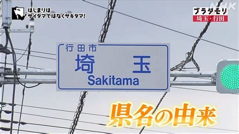 昨日の「ブラタモリ」は埼玉県行田市 まほろば