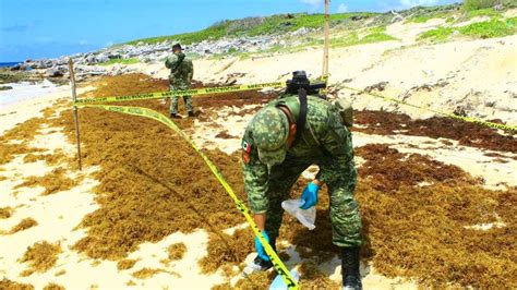 SEDENA asegura droga que recaló en playas de Cozumel