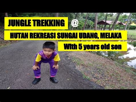 Jungle Trekking At Hutan Rekreasi Sungai Udang With 5 Years Old Son