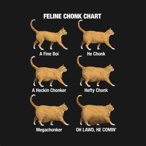 Feline Chonk Chart, Funny Chonk Cat Meme - Chonk Cat - T-Shirt