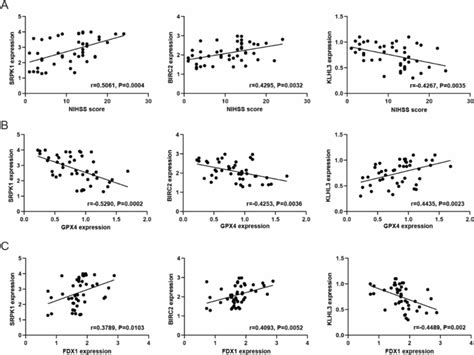 Correlation Between Key Genes And NIHSS Score GPX4 And FDX1