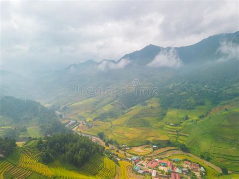 Aerial View Of Golden Rice Terraces At Mu Cang Chai Town Near Sapa City