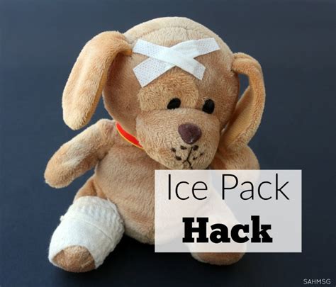 DIY Ice Pack Hack » The Stay-at-Home-Mom Survival Guide