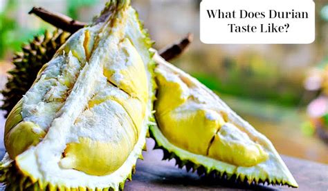 What Does Durian Taste Like? Top 3 Best Tasting Durian – Fruitinformation.com