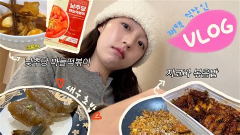 Vlog 낮추당 마늘떡볶이 후기 ・ 지코바 먹고 볶음밥까지 만들기 ・ 회전초밥 ・ 서울의봄 후기 ・ 귀여운 겨울 비니 개시