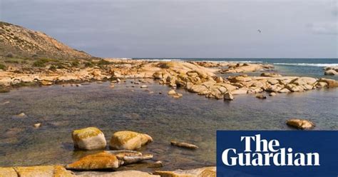 [environment] Search Under Way For Body Of Missing Surfer After Shark Attack Near Streaky Bay