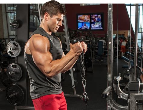 Arm Workouts For Men For Bigger Stronger Biceps