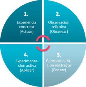 Aprendizaje experiencial Qué es beneficios y modelo de Kolb