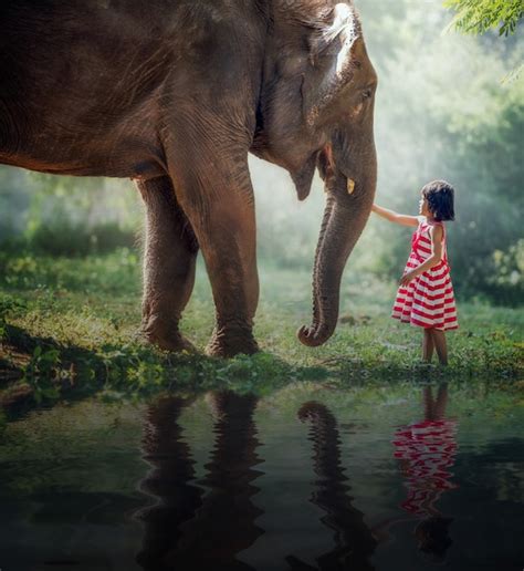 Premium Photo Child Girl And Elephant