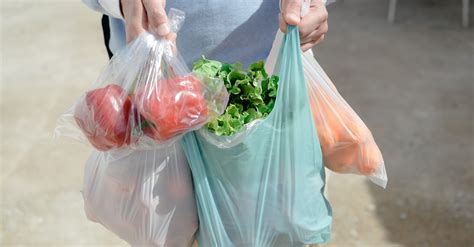 Buste Di Plastica Funziona Il Divieto In Paesi Del Mondo