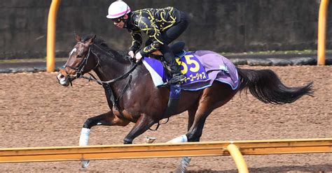 【大阪杯 トレセン特選マイク】ミッキーゴージャス・安田翔伍調教師「期待できるだけの能力を感じています」 サンスポzbat