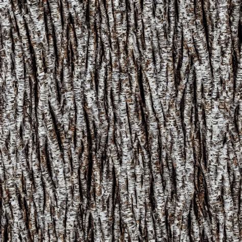 Birch Tree Bark Texture Material High Definition Stable Diffusion